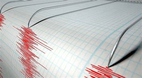 E­n­d­o­n­e­z­y­a­­d­a­ ­5­,­8­ ­b­ü­y­ü­k­l­ü­ğ­ü­n­d­e­ ­d­e­p­r­e­m­